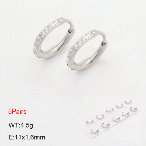 2E4004477ajna-233  Stainless Steel Earrings