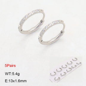 2E4004478ajna-233  Stainless Steel Earrings