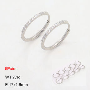 2E4004480akia-233  Stainless Steel Earrings