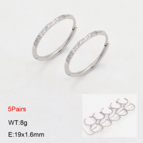 2E4004481akia-233  Stainless Steel Earrings