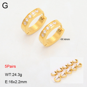 2E4004483akil-233  Stainless Steel Earrings