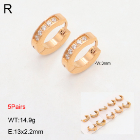 2E4004484ajil-233  Stainless Steel Earrings