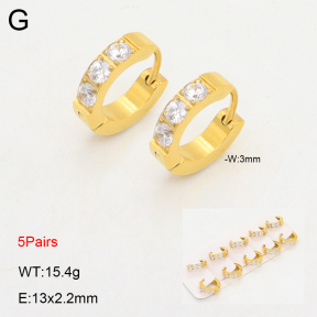 2E4004488ajil-233  Stainless Steel Earrings