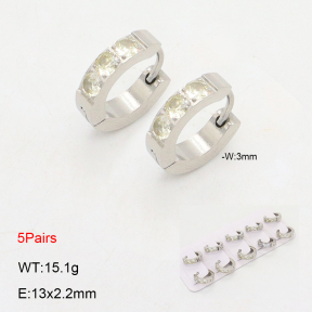 2E4004489ajil-233  Stainless Steel Earrings