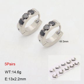 2E4004490ajil-233  Stainless Steel Earrings