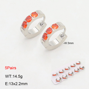 2E4004492ajil-233  Stainless Steel Earrings