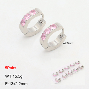 2E4004493ajil-233  Stainless Steel Earrings