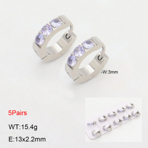 2E4004494ajil-233  Stainless Steel Earrings