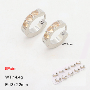 2E4004495ajil-233  Stainless Steel Earrings