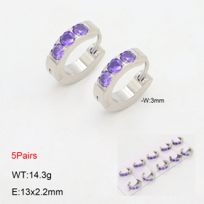 2E4004496ajil-233  Stainless Steel Earrings