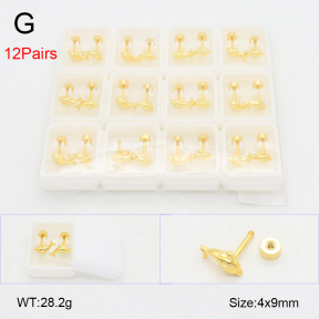 2PU500616ajma-254  Stainless Steel Earrings