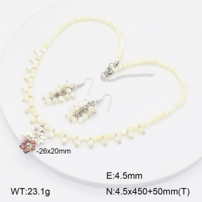 2S0011296aiov-666  Stainless Steel Set