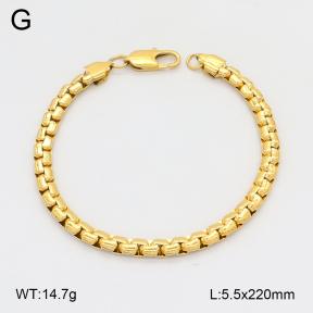 2B2004341vhha-474  Stainless Steel Bracelet