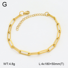 2B2004349aakl-474  Stainless Steel Bracelet