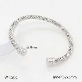 2BA202159vbll-387  Stainless Steel Bangle