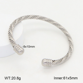 2BA202160vbll-387  Stainless Steel Bangle