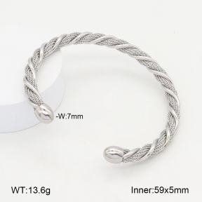2BA202161vbll-387  Stainless Steel Bangle