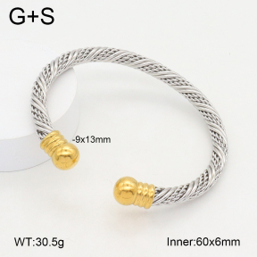 2BA202166bbml-387  Stainless Steel Bangle
