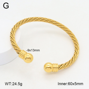 2BA202168vbnl-387  Stainless Steel Bangle