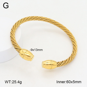 2BA202169vbnl-387  Stainless Steel Bangle