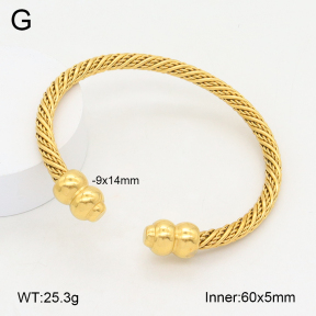 2BA202170vbnl-387  Stainless Steel Bangle