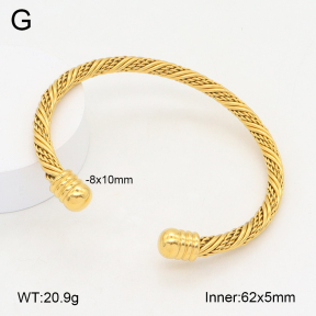 2BA202171vbnl-387  Stainless Steel Bangle