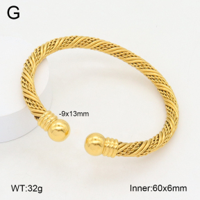 2BA202172vbnl-387  Stainless Steel Bangle
