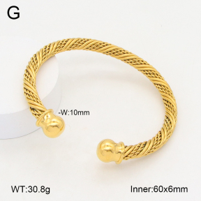 2BA202173vbnl-387  Stainless Steel Bangle