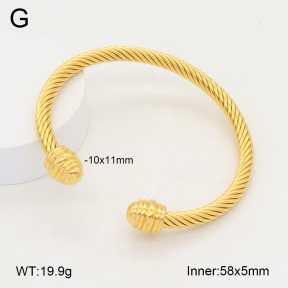 2BA202174vbnl-387  Stainless Steel Bangle