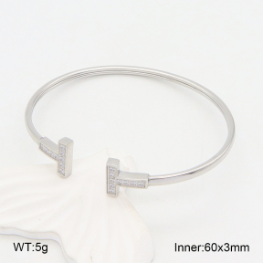 2BA402325vbpb-749  Stainless Steel Bangle