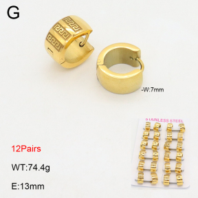 2E2006177alka-387  Stainless Steel Earrings