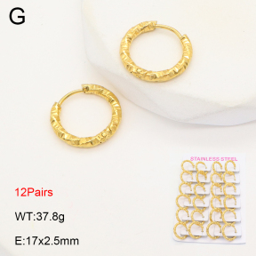 2E2006179akoa-387  Stainless Steel Earrings