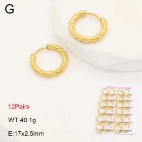 2E2006180akoa-387  Stainless Steel Earrings