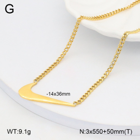 2N2006124ablb-749  Stainless Steel Necklace