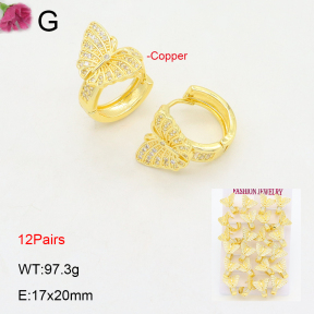 F2E402094bnib-J22  Fashion Copper Earrings