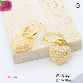 F6E302041bbov-L017  Fashion Copper Earrings