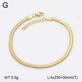 2A9001674vbpb-656  Stainless Steel Bracelet