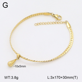 2B2004434vbpb-656  Stainless Steel Bracelet
