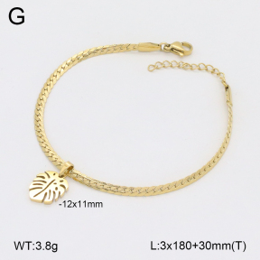 2B2004435vbpb-656  Stainless Steel Bracelet