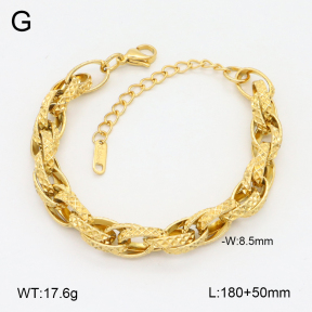 2B2004454vbnl-434  Stainless Steel Bracelet
