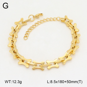 2B2004460bhia-641  Stainless Steel Bracelet