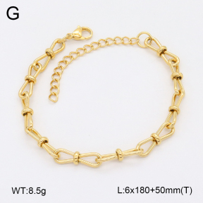 2B2004480vbnl-641  Stainless Steel Bracelet