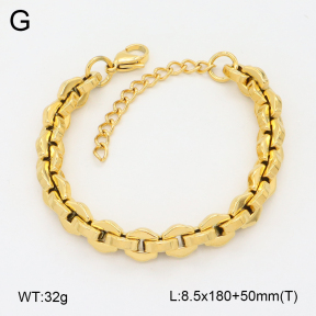 2B2004483abol-641  Stainless Steel Bracelet