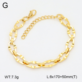 2B2004489abol-641  Stainless Steel Bracelet