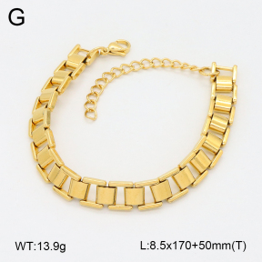 2B2004490bvpl-641  Stainless Steel Bracelet