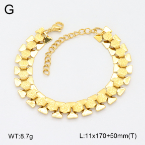 2B2004493vhhl-641  Stainless Steel Bracelet