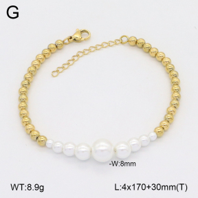 2B3004013bvpl-656  Stainless Steel Bracelet