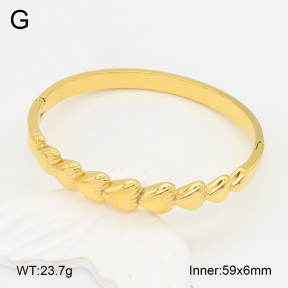2BA202180vhha-434  Stainless Steel Bangle