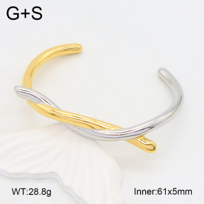 2BA202181vhll-434  Stainless Steel Bangle