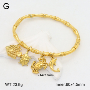 2BA202182bhia-434  Stainless Steel Bangle